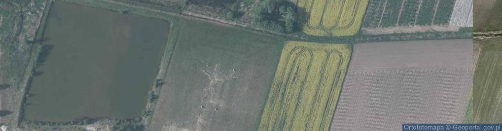 Zdjęcie satelitarne Żurawia ul.
