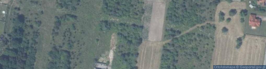 Zdjęcie satelitarne Żurawia ul.