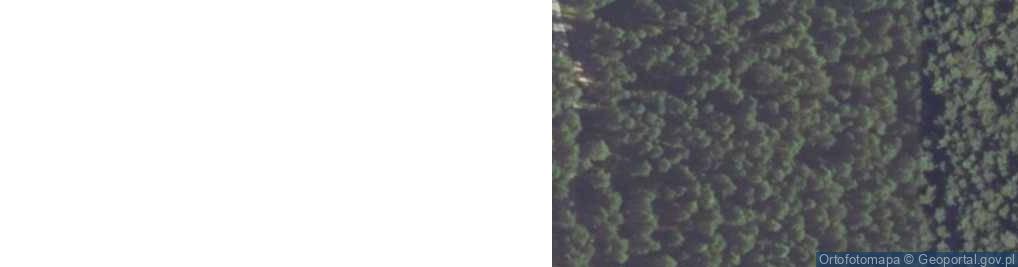 Zdjęcie satelitarne Żurawska ul.