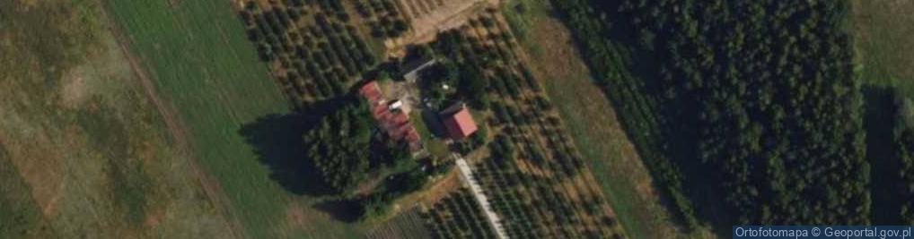 Zdjęcie satelitarne Żurawia ul.