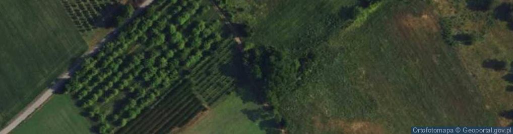 Zdjęcie satelitarne Żurawia ul.