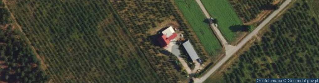 Zdjęcie satelitarne Żurawia ul.