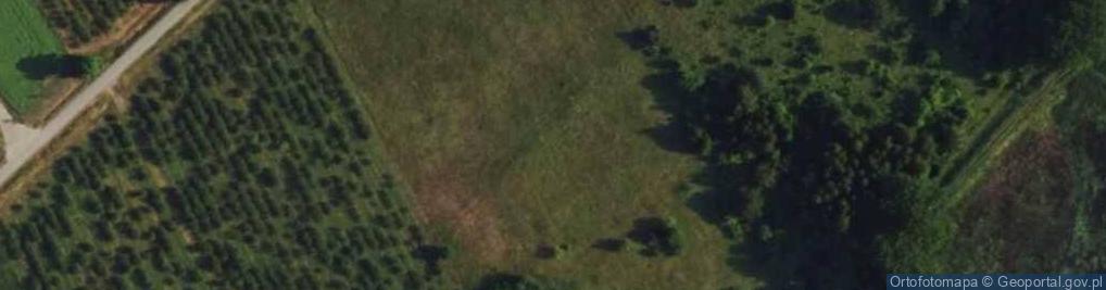 Zdjęcie satelitarne Żurawia ul.