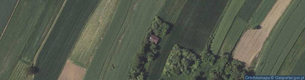 Zdjęcie satelitarne Żurawie ul.