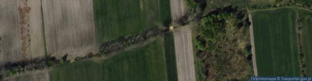 Zdjęcie satelitarne Żurawieniec ul.