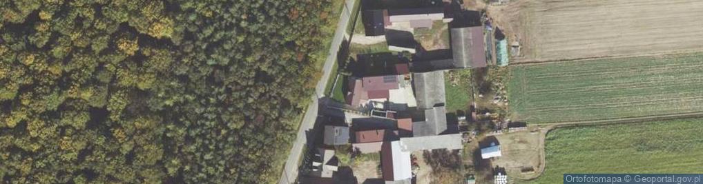 Zdjęcie satelitarne Żurawiniec ul.