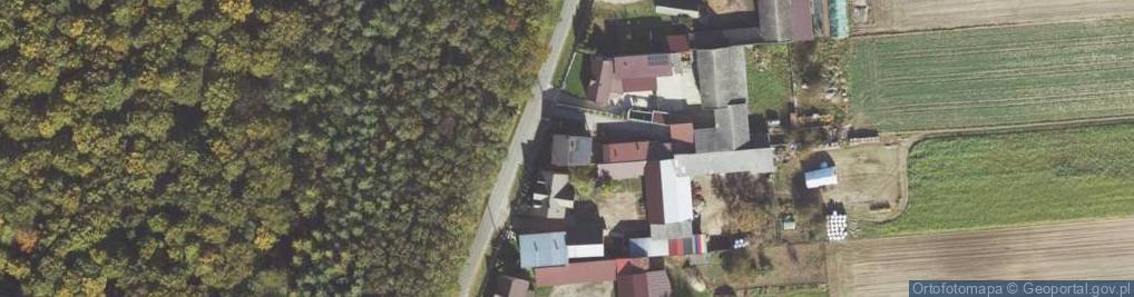 Zdjęcie satelitarne Żurawiniec ul.