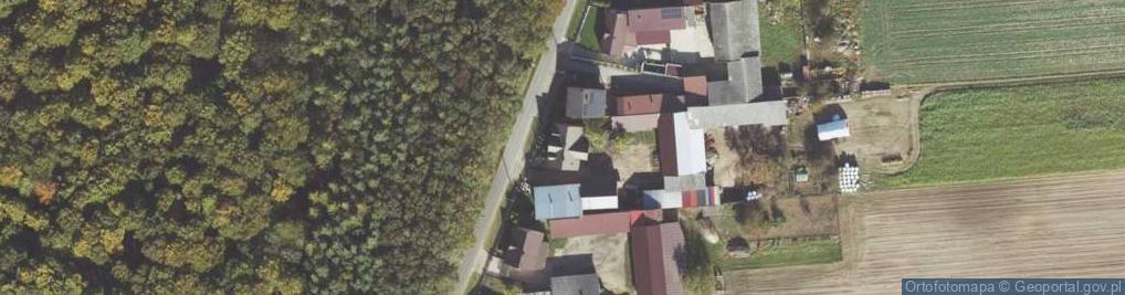 Zdjęcie satelitarne Żurawiniec ul.
