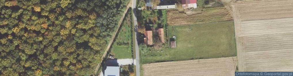 Zdjęcie satelitarne Żurawiniec ul.