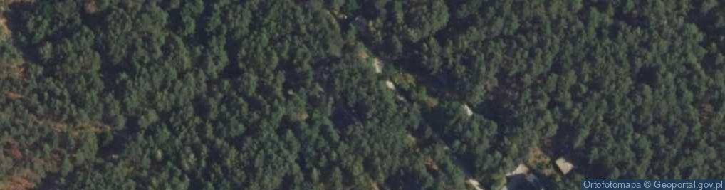 Zdjęcie satelitarne Żwirowa ul.