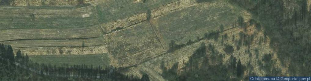 Zdjęcie satelitarne Zwierzyniecka ul.