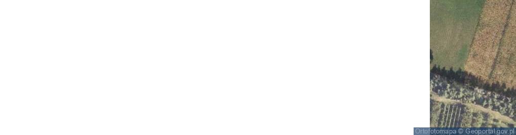 Zdjęcie satelitarne Zwierzyniec ul.