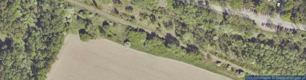 Zdjęcie satelitarne Zwrotnicza ul.