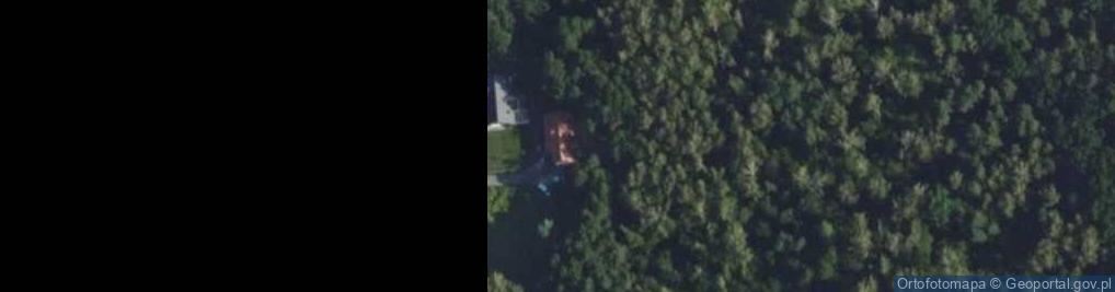 Zdjęcie satelitarne Żwirka i Muchomorka ul.