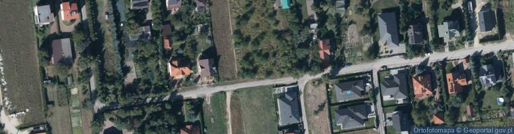 Zdjęcie satelitarne Zygmunta I Starego ul.