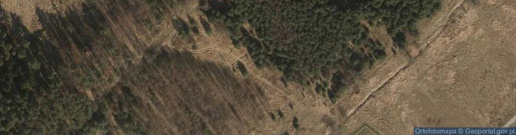 Zdjęcie satelitarne Zygmunta I Starego ul.