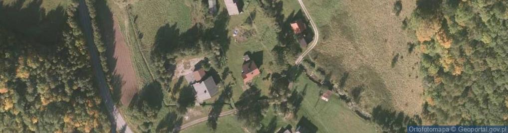 Zdjęcie satelitarne Żywicka ul.