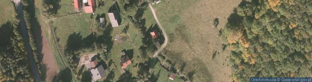 Zdjęcie satelitarne Żywicka ul.