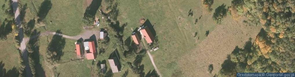 Zdjęcie satelitarne Żywicka ul.
