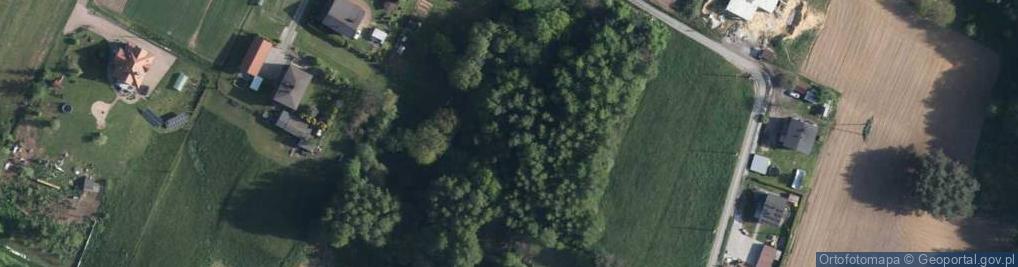 Zdjęcie satelitarne Zygmunta I Starego ul.