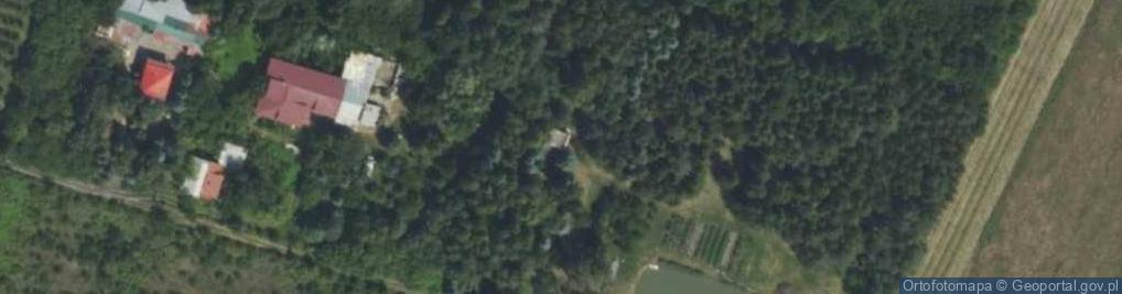 Zdjęcie satelitarne Żytnia ul.