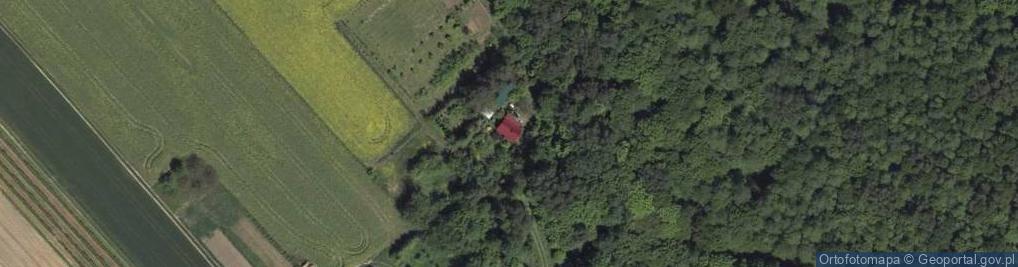 Zdjęcie satelitarne Zygmuntów ul.