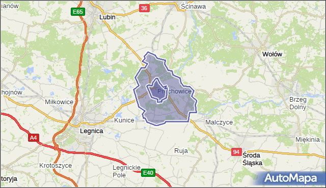 gmina Prochowice - powiat legnicki na mapie Targeo