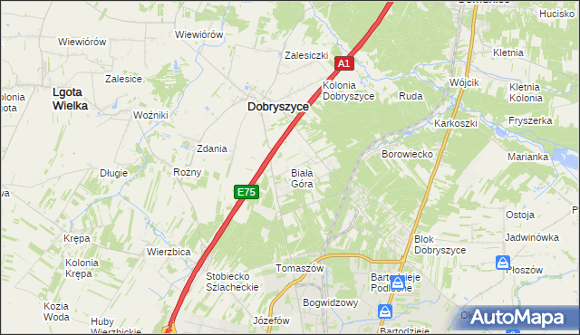 mapa Biała Góra gmina Dobryszyce, Biała Góra gmina Dobryszyce na mapie Targeo
