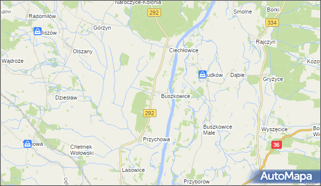 mapa Buszkowice gmina Ścinawa, Buszkowice gmina Ścinawa na mapie Targeo
