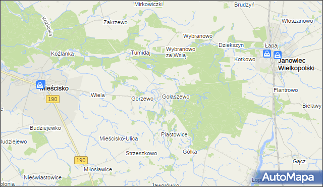 mapa Gołaszewo gmina Mieścisko, Gołaszewo gmina Mieścisko na mapie Targeo