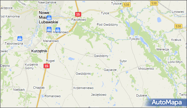 mapa Gwiździny gmina Nowe Miasto Lubawskie, Gwiździny gmina Nowe Miasto Lubawskie na mapie Targeo