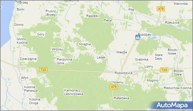 mapa Lasek gmina Warta, Lasek gmina Warta na mapie Targeo