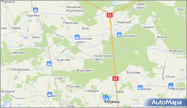 mapa Murzynowiec Leśny, Murzynowiec Leśny na mapie Targeo
