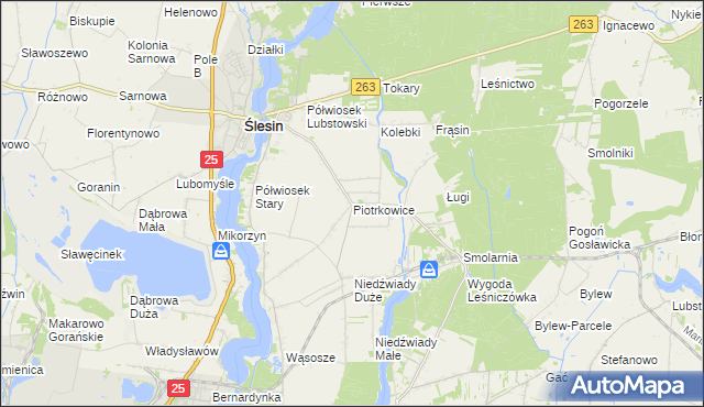mapa Piotrkowice gmina Ślesin, Piotrkowice gmina Ślesin na mapie Targeo