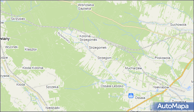 mapa Strzegom gmina Rytwiany, Strzegom gmina Rytwiany na mapie Targeo