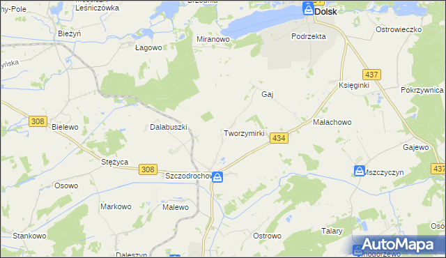mapa Tworzymirki gmina Gostyń, Tworzymirki gmina Gostyń na mapie Targeo