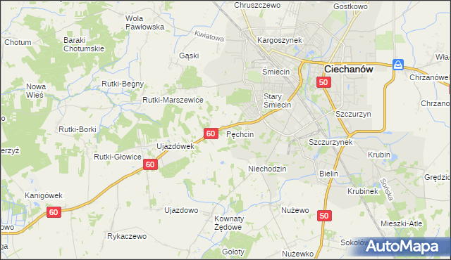 mapa Pęchcin, Pęchcin na mapie Targeo