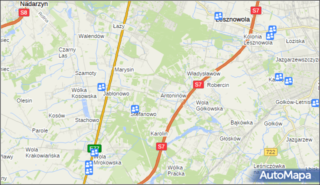 mapa Antoninów gmina Piaseczno, Antoninów gmina Piaseczno na mapie Targeo