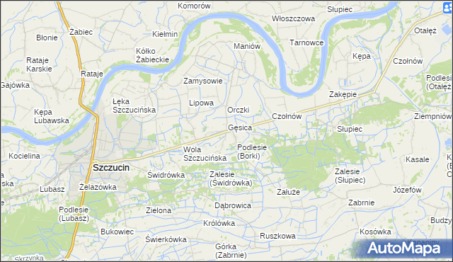 mapa Borki gmina Szczucin, Borki gmina Szczucin na mapie Targeo