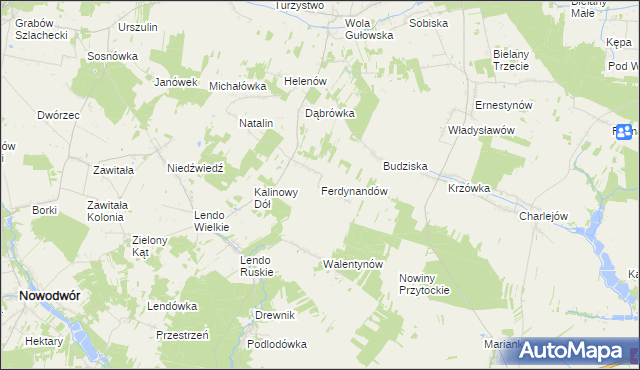 mapa Ferdynandów gmina Adamów, Ferdynandów gmina Adamów na mapie Targeo