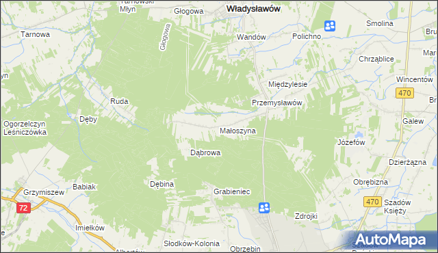 mapa Małoszyna, Małoszyna na mapie Targeo