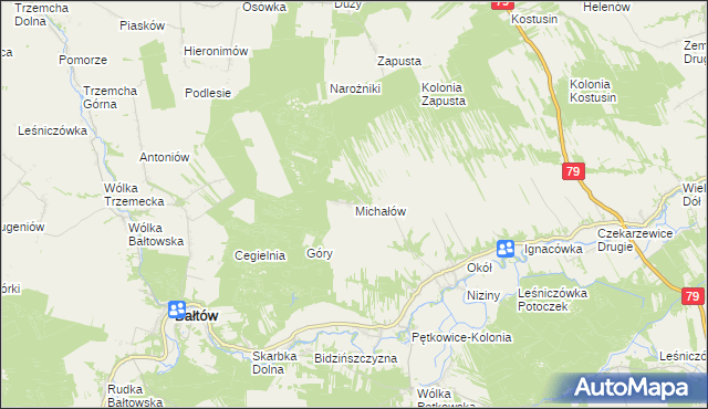 mapa Michałów gmina Bałtów, Michałów gmina Bałtów na mapie Targeo