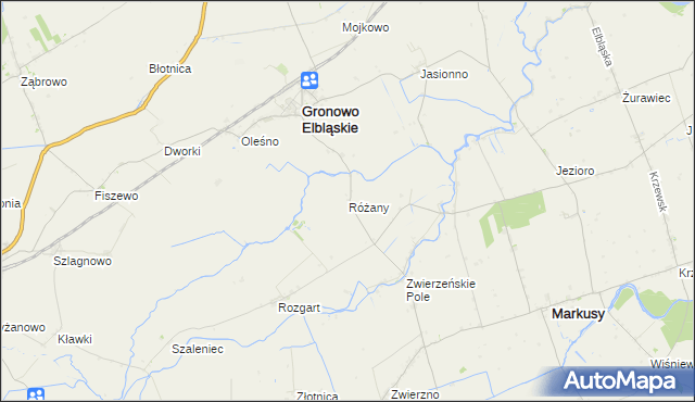 mapa Różany gmina Gronowo Elbląskie, Różany gmina Gronowo Elbląskie na mapie Targeo