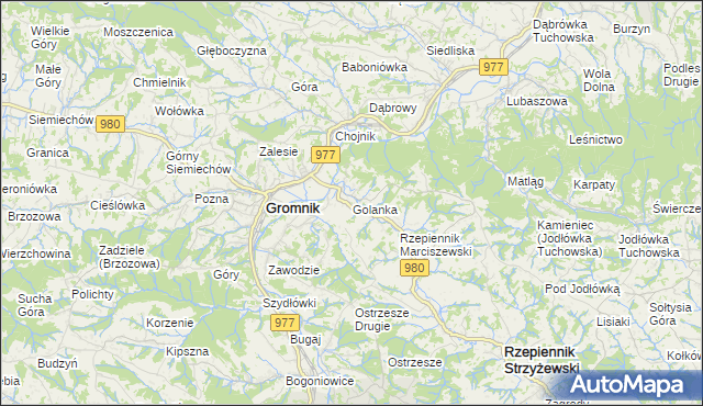 mapa Golanka gmina Gromnik, Golanka gmina Gromnik na mapie Targeo