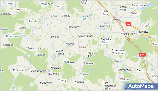 mapa Skoki gmina Mniów, Skoki gmina Mniów na mapie Targeo