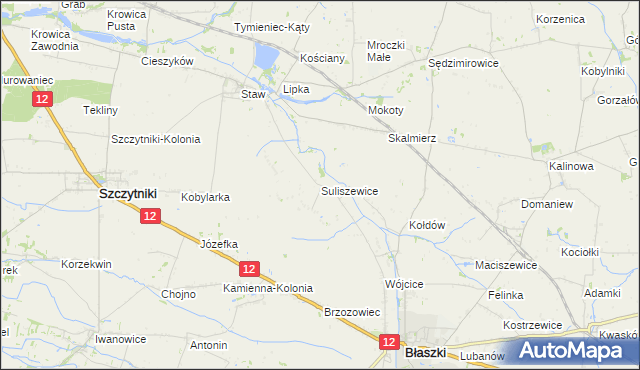 mapa Suliszewice gmina Błaszki, Suliszewice gmina Błaszki na mapie Targeo