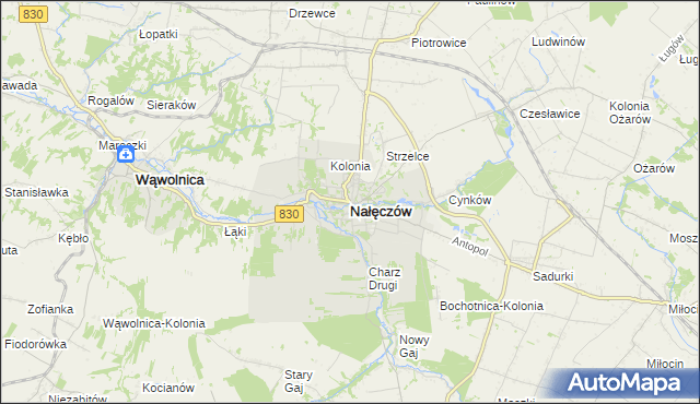 mapa Nałęczów powiat puławski, Nałęczów powiat puławski na mapie Targeo