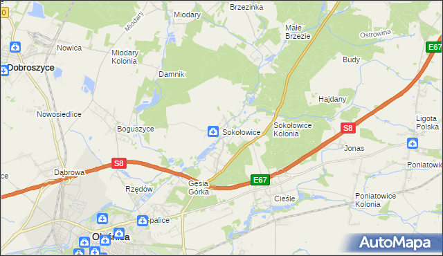 mapa Sokołowice gmina Oleśnica, Sokołowice gmina Oleśnica na mapie Targeo