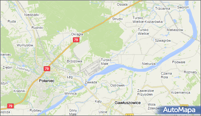 mapa Tursko Małe, Tursko Małe na mapie Targeo