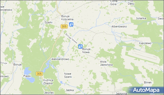 mapa Boruja Nowa, Boruja Nowa na mapie Targeo